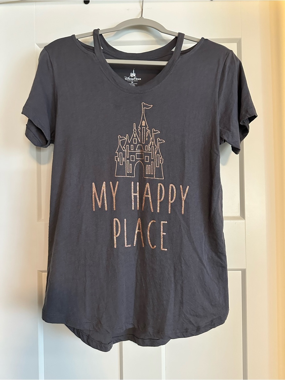 Disneyland top
